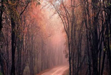 1XBET：[天下足球]勒沃库森主场战平荷尔斯泰因基尔.