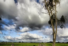 1XBET：新版世俱杯奖金超世界杯一倍 冠军可得1.25亿美元.