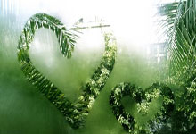 卫冕成功!澳网男单决赛辛纳直落三盘战胜兹维列夫央视新闻客户端.