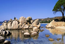 1XBET：[澳网]萨巴伦卡连续第五年晋级澳网女单16强.